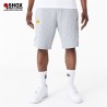 NBA L.A. Lakers Side Short Grey/Purple