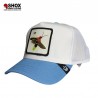 Lit White/Skyblue Trucker