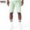 Pinstripe Menta/Brown Short