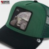 O.G. Turtle Forest/Black Trucker