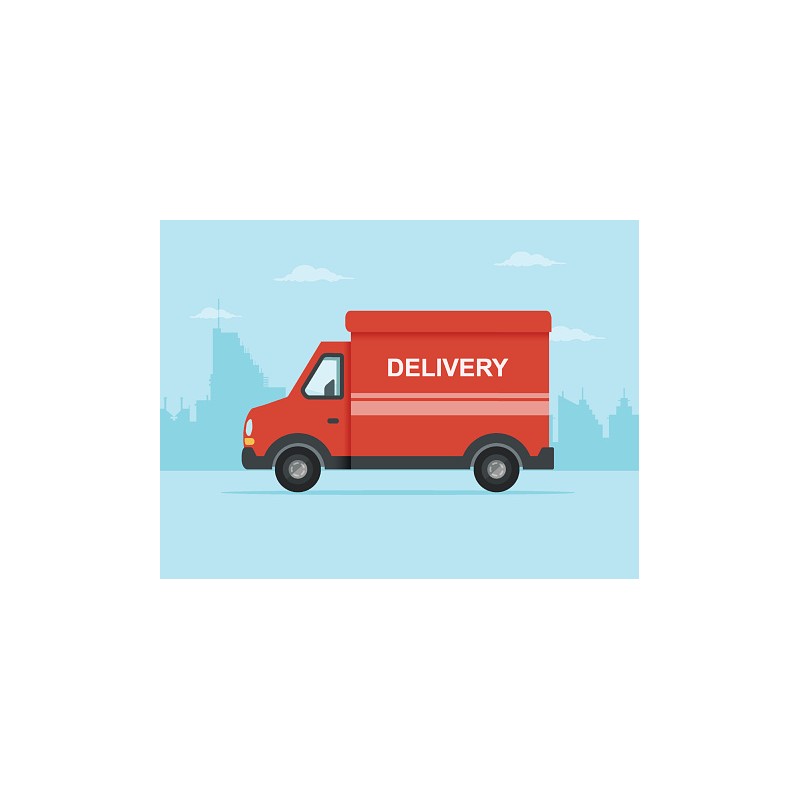 Spedizione Delivery