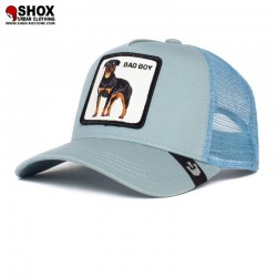 Bad Boy Rottweiler SkyGrey Trucker